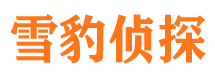 苍梧侦探公司